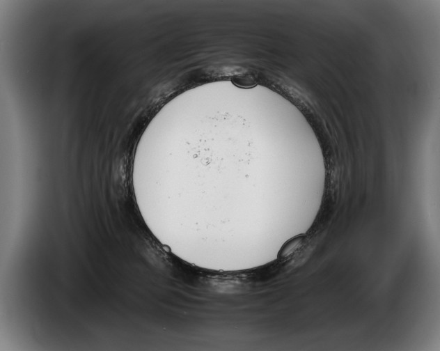 X0000086310373200704202007