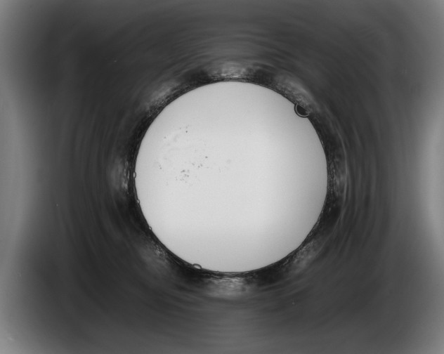 X0000086310374200704202007