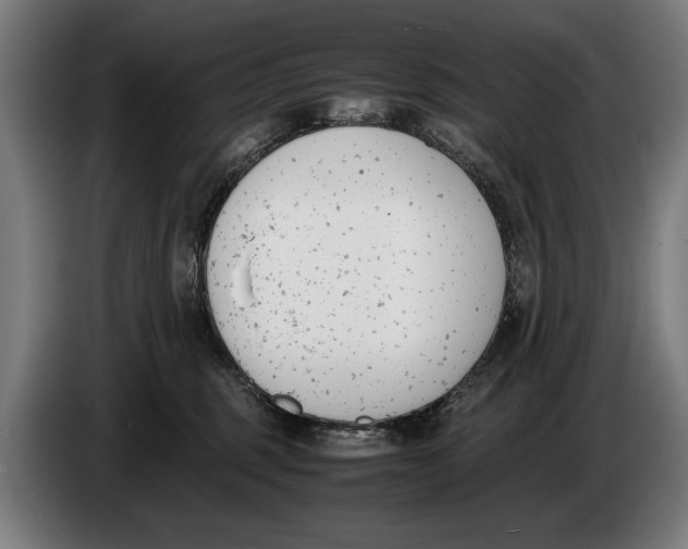 X0000086310375200704202007