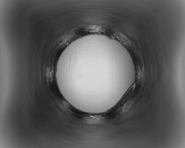 X0000086310376200704202007