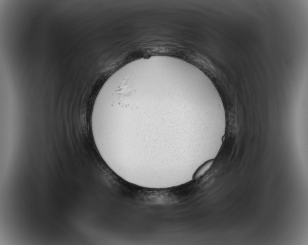 X0000086310377200704202007