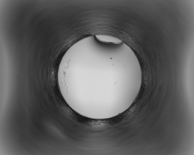 X0000086310378200704202007