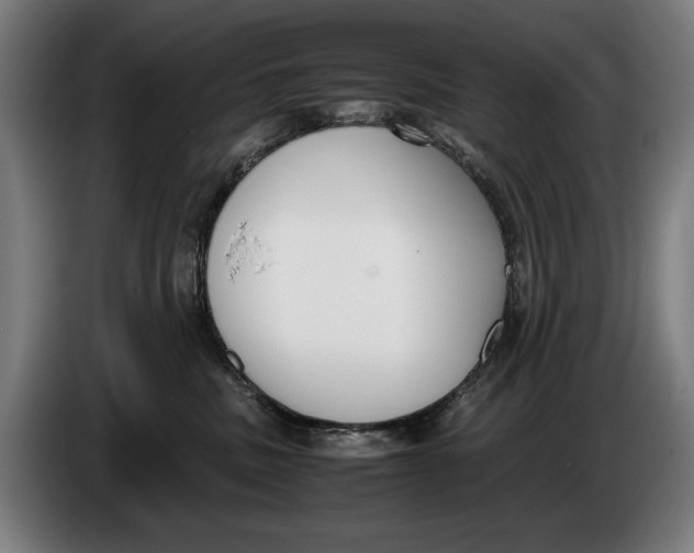 X0000086310379200704202007