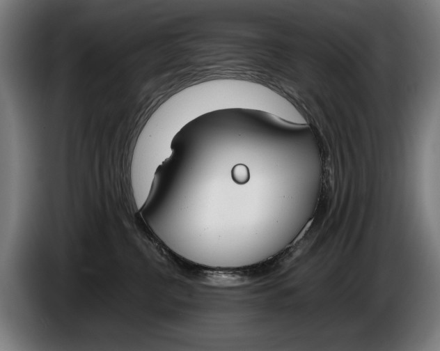 X0000086310380200704202007