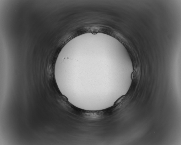 X0000086310381200704202007