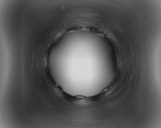 X0000086310382200704202007