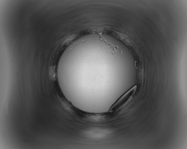 X0000086310383200704202007