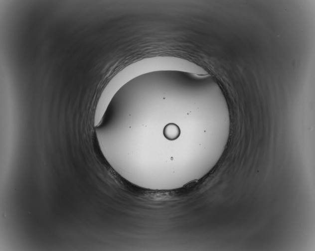 X0000086310384200704202007