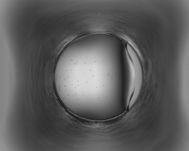 X0000086310385200704202006