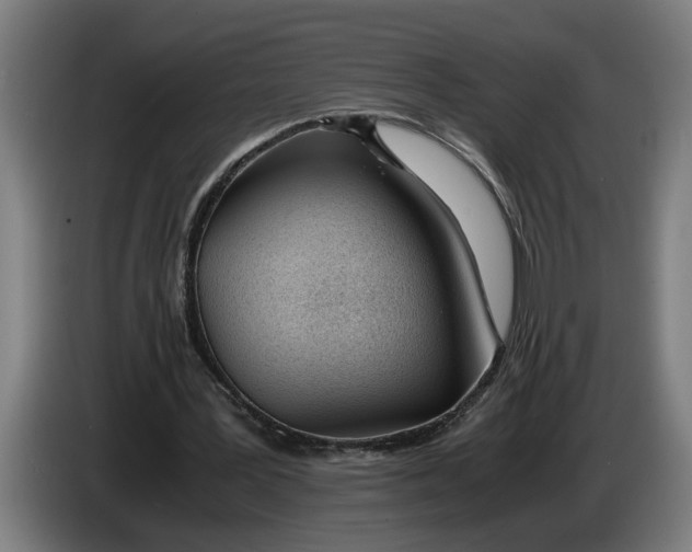 X0000086310387200704202006