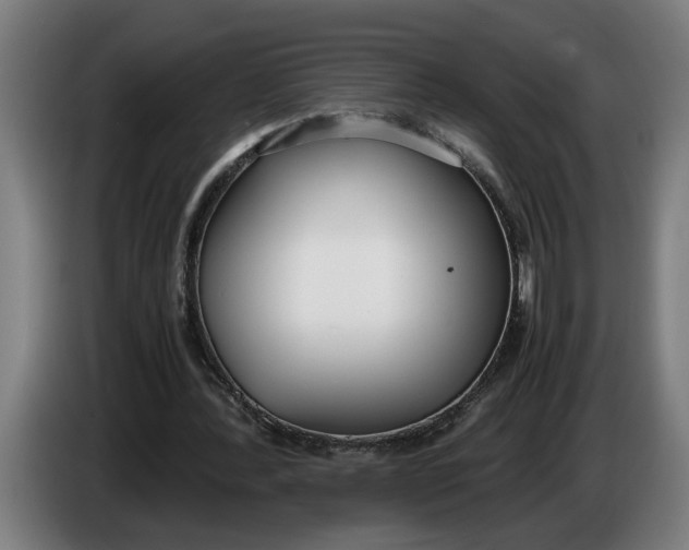 X0000086310388200704202006