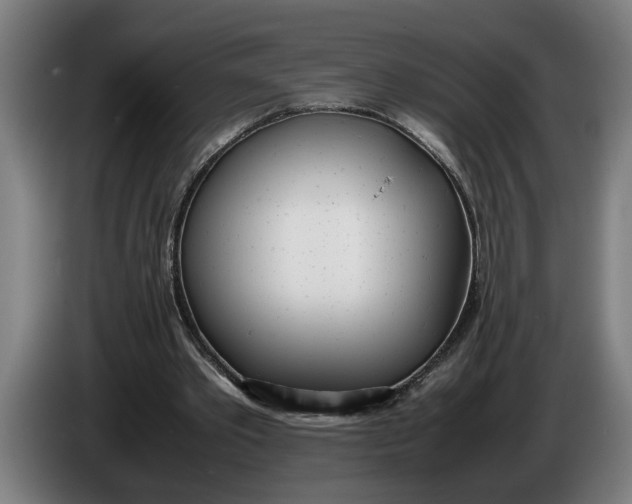 X0000086310389200704202006