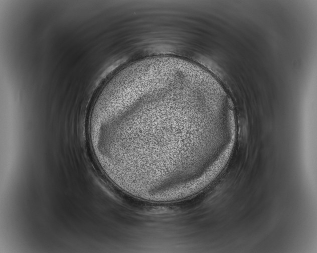 X0000086310390200704202006