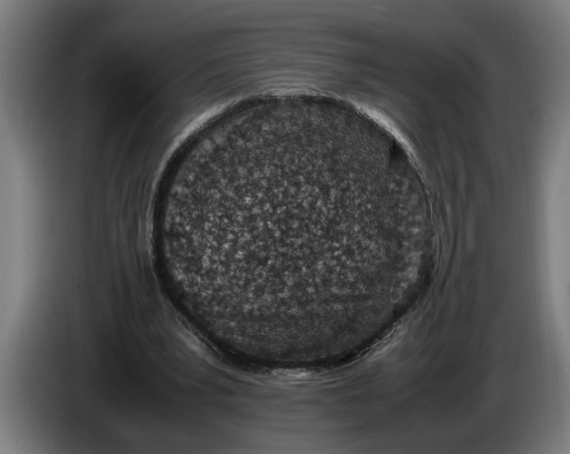 X0000086310391200704202006