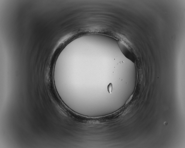 X0000086310392200704202006