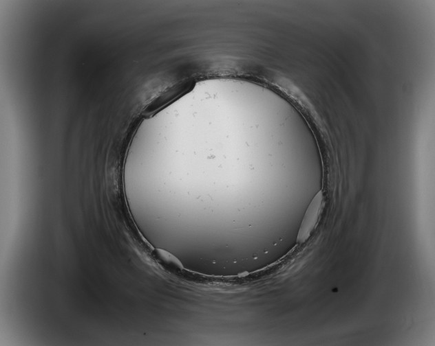 X0000086310393200704202006