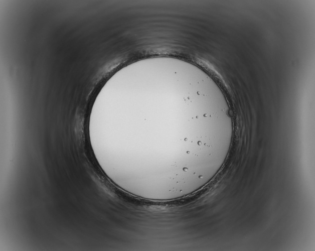 X0000086310394200704202006