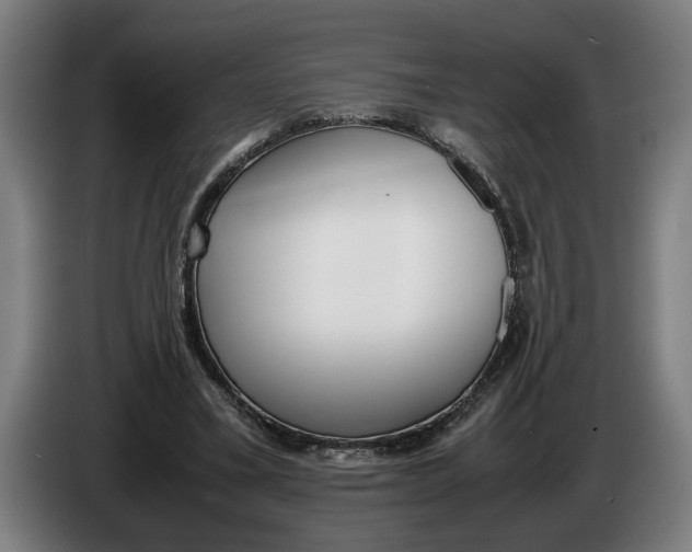 X0000086310395200704202006