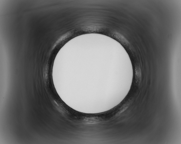 X0000086310396200704202006