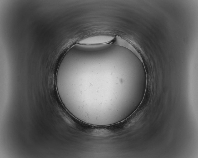 X0000086310397200704202006