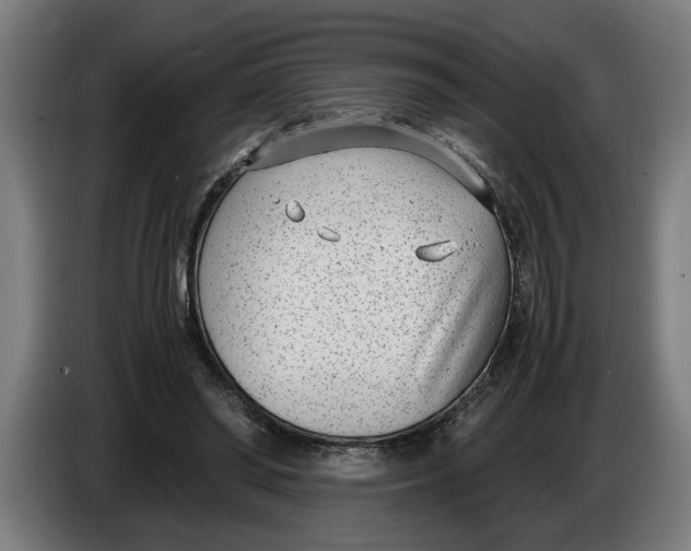 X0000086310398200704202006