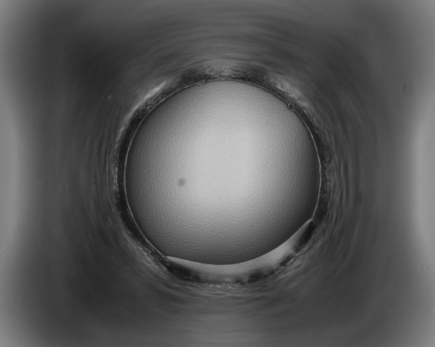 X0000086310399200704202006