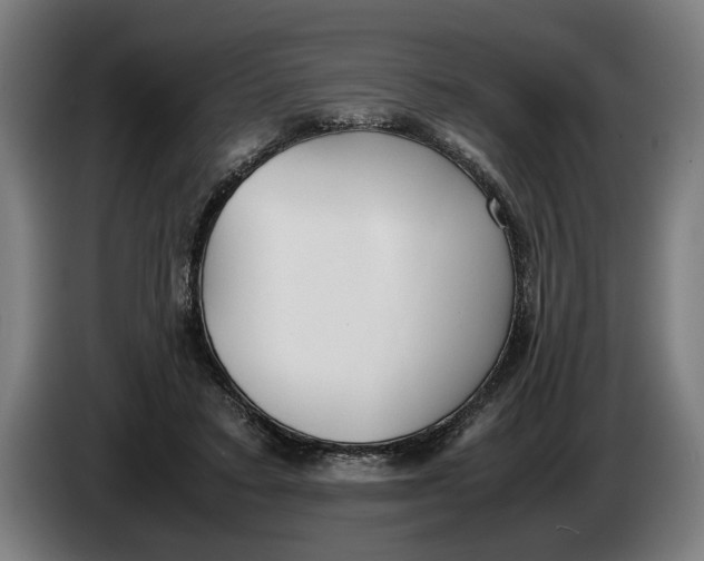 X0000086310403200704202006