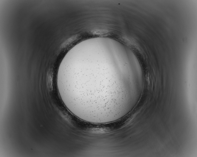 X0000086310404200704202006