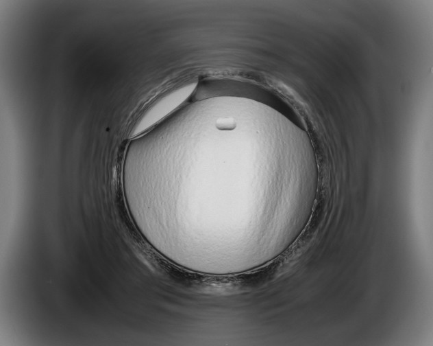 X0000086310405200704202006