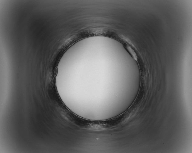 X0000086310407200704202006