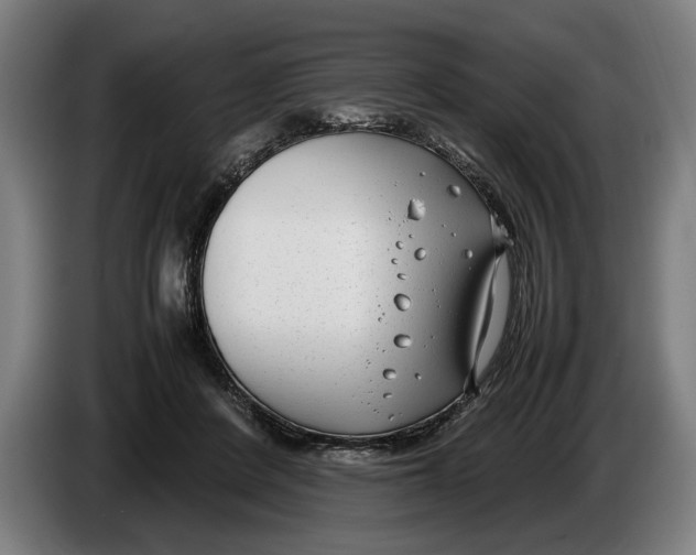 X0000086310408200704202006