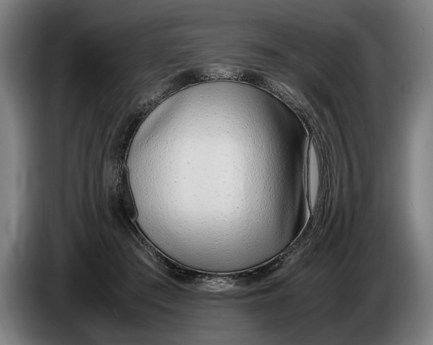 X0000086310409200704202006