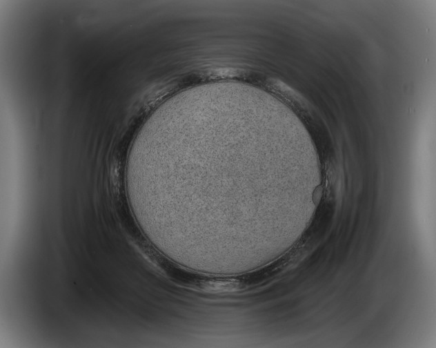 X0000086310410200704202006