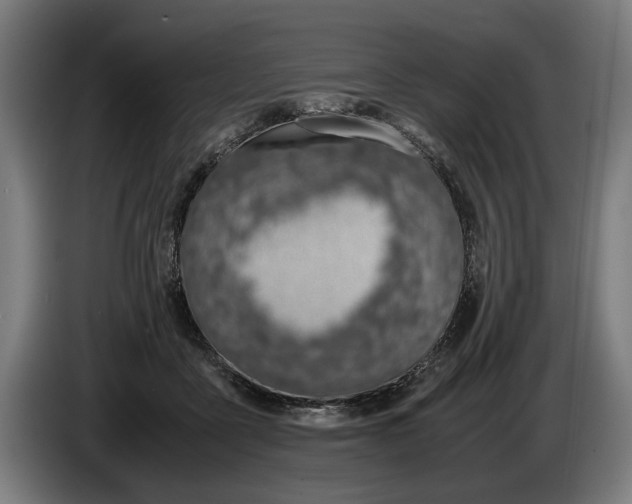 X0000086310411200704202006