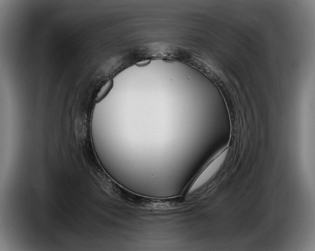 X0000086310413200704202006