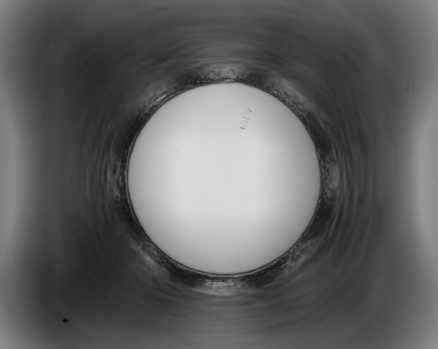 X0000086310414200704202006