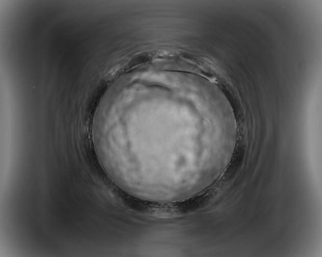 X0000086310415200704202006