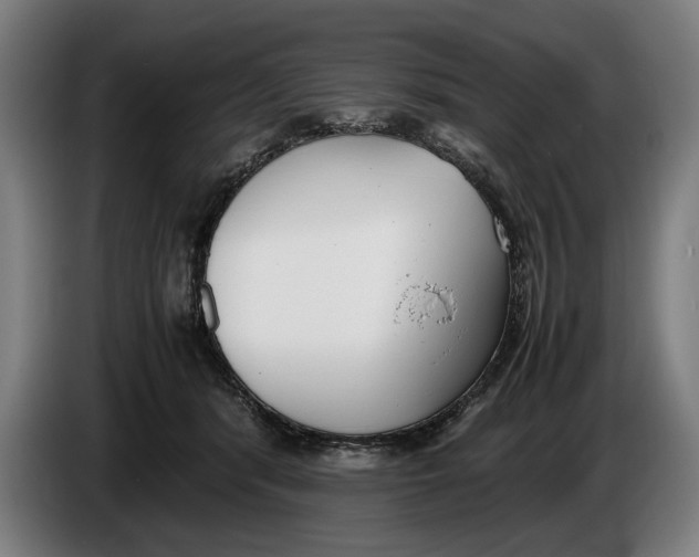 X0000086310416200704202006