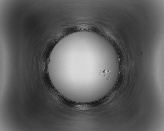 X0000086310417200704202006