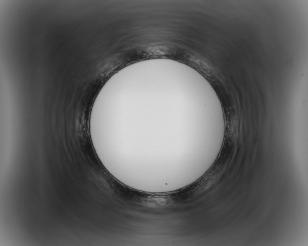 X0000086310418200704202006