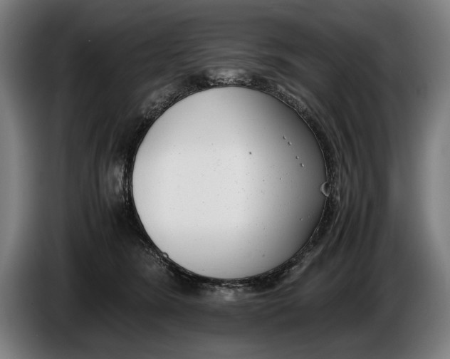 X0000086310420200704202006