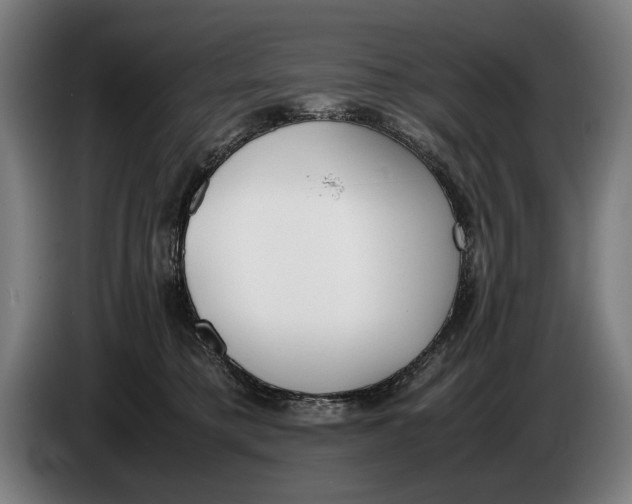 X0000086310421200704202006