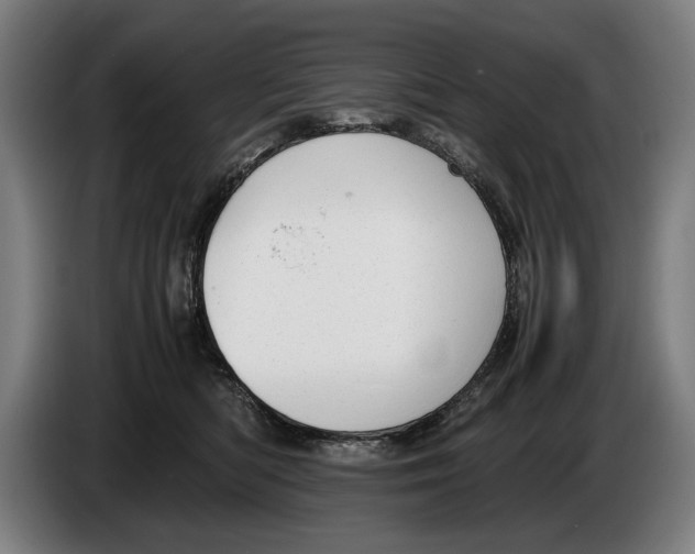 X0000086310422200704202006