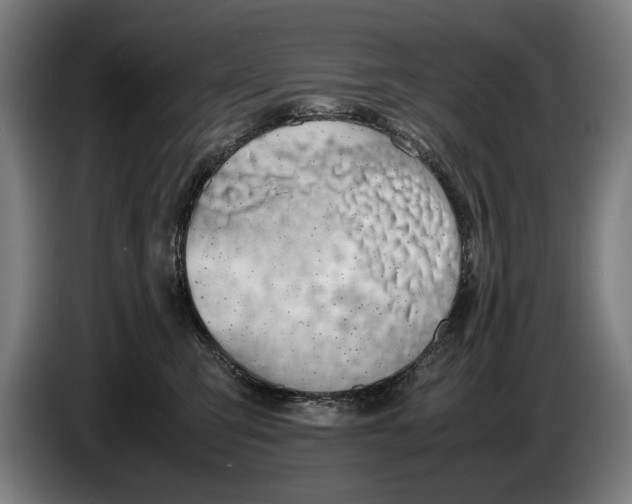 X0000086310423200704202006