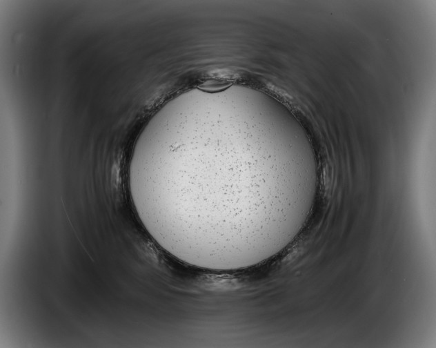 X0000086310424200704202006