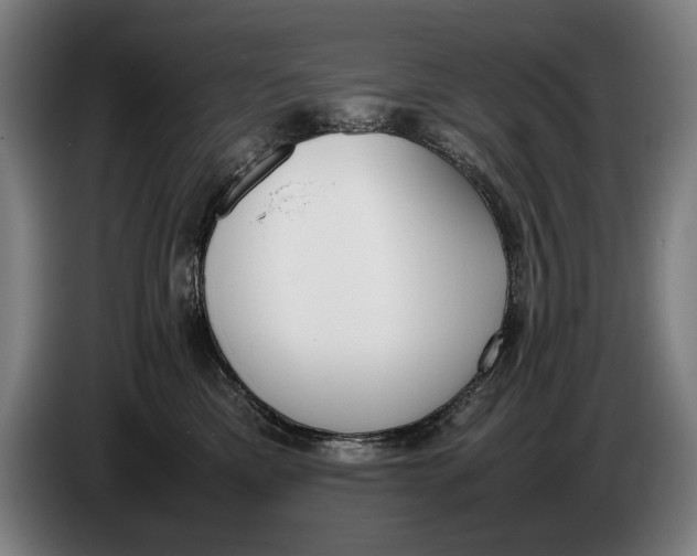 X0000086310425200704202006