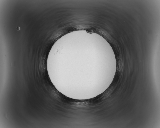 X0000086310426200704202006