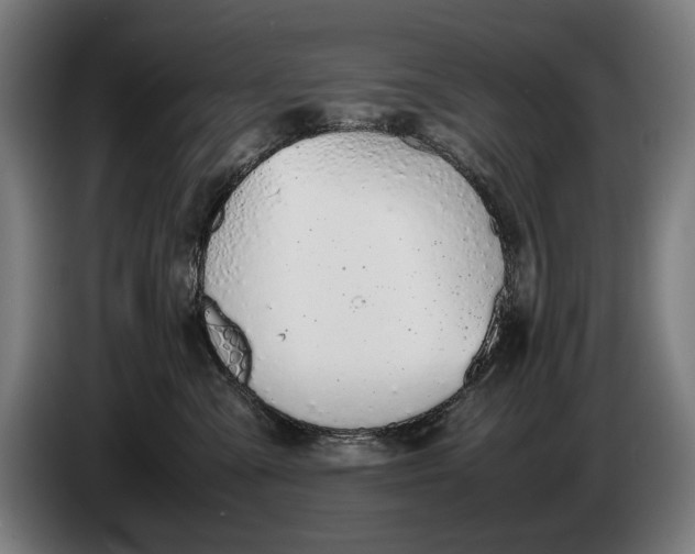 X0000086310427200704202006