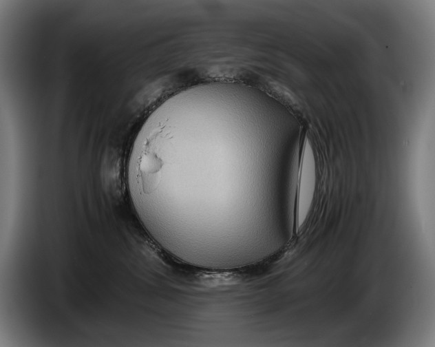 X0000086310428200704202006