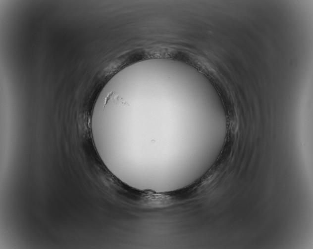 X0000086310429200704202006